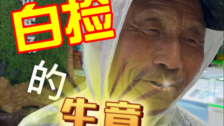 Ngày nào cũng có việc làm “lành như bắt chim”, hôm nay cũng vậy!