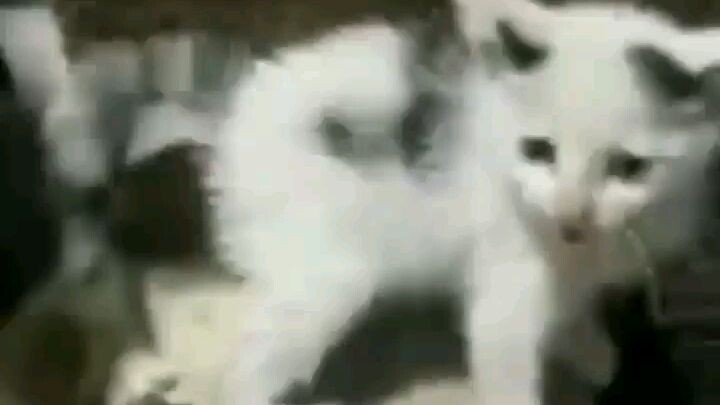 I'm going to have you