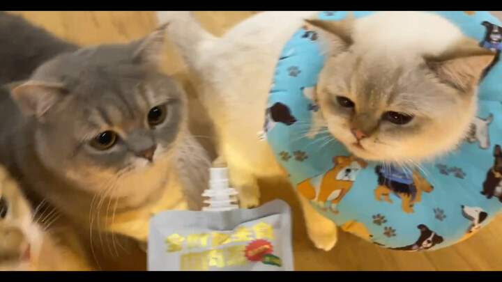 Calling it a day early today to take care of some stuff～～ [Asaki-sama_Secret Masen]