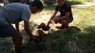 panalo na nman mga lods gas² lng sa paa ang sugat😁💪