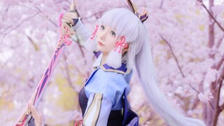 Senbonzakura ของ Kamisato Ayaka ใต้ต้นซากุระ