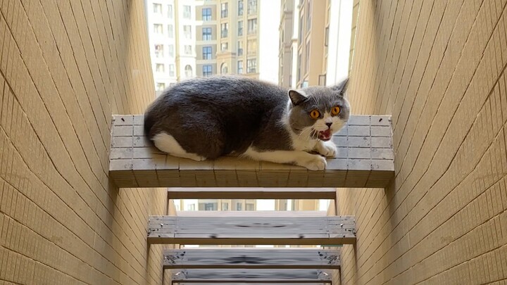 A British guy was trapped under a beam on the 17th floor. After being rescued, the owner no longer w