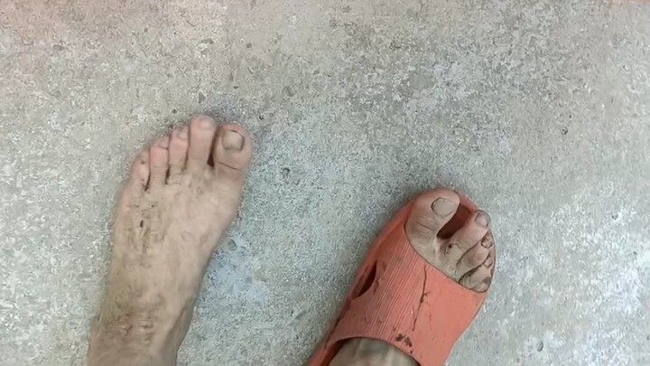 Để bắt cá cho bánh trôi ăn, tôi liều hết mình luôn rồi, dép tông cũng bị tôi làm hư hết haha. Nghe n