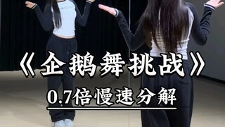 «تحدي رقصة البطريق» تحليل بطيء للإيقاع من الخلفية