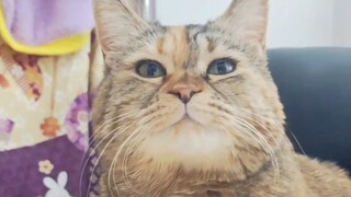 You always touch my butt, that's not right