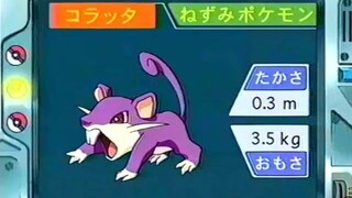 オーキド博士のポケモン講座(コラッタ)