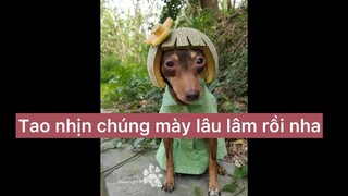 Tao nhịn chúng mày lâu lắm rồi nha