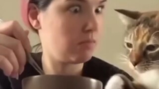 ؟؟؟