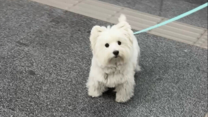 I was *so* close to losing it… Good news: Rourou came to pick me up. Bad news: I almost didn’t recog