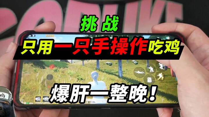 มือปืนจู่โจม "เม่นแร็กคูนน้ำผึ้ง": ท้าทายกินไก่ด้วยมือเดียวเท่านั้น ความยากระดับปีศาจ! หักโหมเล่นทั้