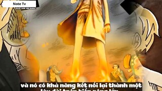 Top 10 Người Thông Minh Nhất One Piece #12- 12