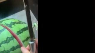 [Xinyu Loni] Water Fairy Watch "Is This the Legendary Gratitude Watermelon?!"