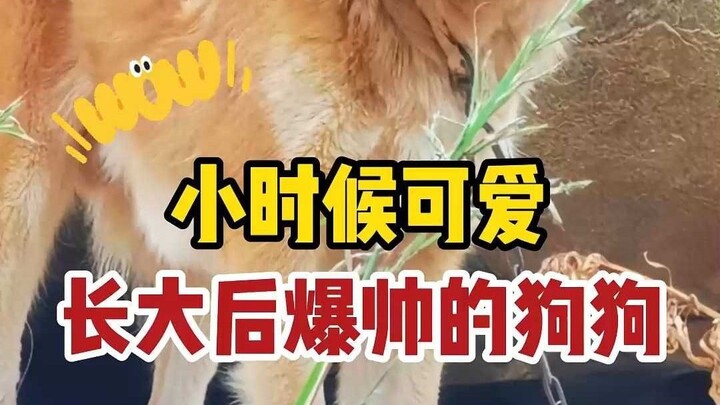 Điểm nhấn chính là sự đối lập