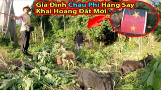 Tập 231: Antonio Xin thêm đất làm nông nghiệp||2Q Vlogs Cuộc Sống châu Phi