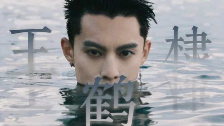 The Crane Emperor is, of course, the undefeated war god in my heart | Wang Hedi