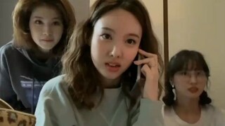 兔宝跳ITZY的Wannabe(｡･ω･｡)
