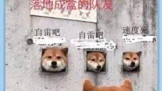 ใกล้ชนะแล้วอย่าถอย! เหล่าเนื้อหาสุดกวนบนอินเทอร์เน็ตที่จะช่วยคุณจากความไม่สบายใจ (6)