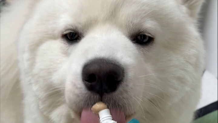 I’m dying of laughter, hahaha!