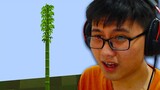 BAMBU PALING TIDAK MASUK AKAL DI MINECRAFT!!!