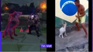 Lấy cả điệu nhảy của meme luôn