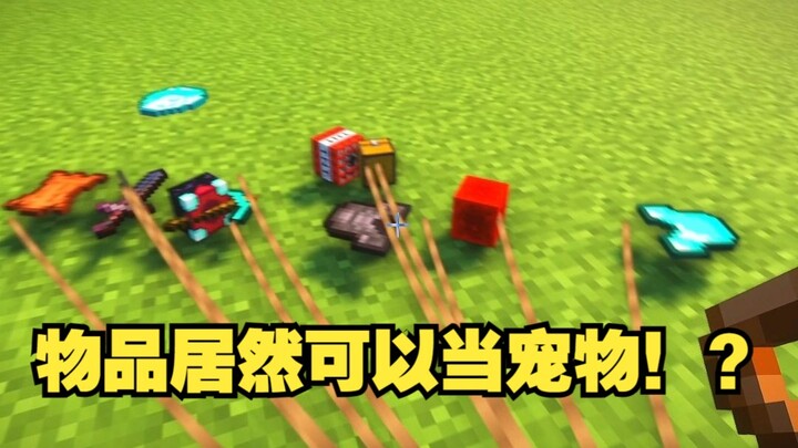 Khi tôi nuôi cả một bầy trang bị làm thú cưng!?