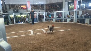 Salpukan final MNA 1st fight win