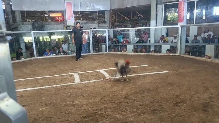 Salpukan final MNA 1st fight win
