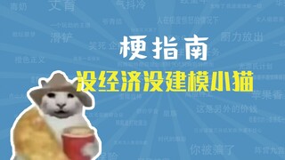 What's the meme about a kitten with no economy and no modeling? [Meme Guide]