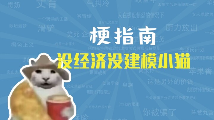 แมวน้อยที่ไม่มีเงินและไม่มีโมเดลคือมีมอะไร 【คู่มือมีม】