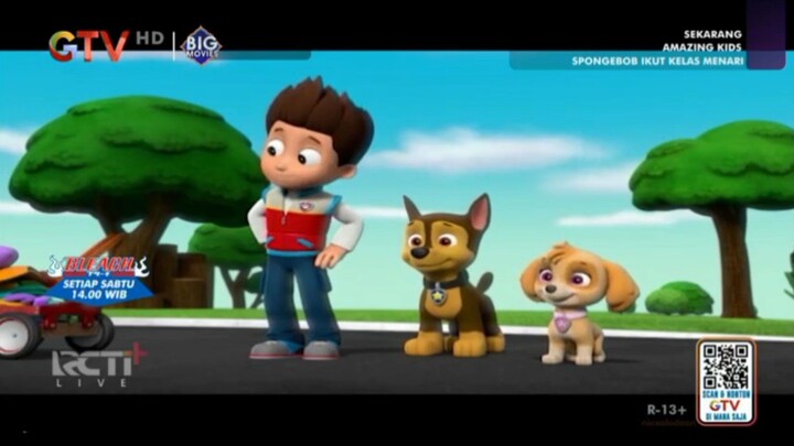 Paw Patrol GTV 14-02-2026