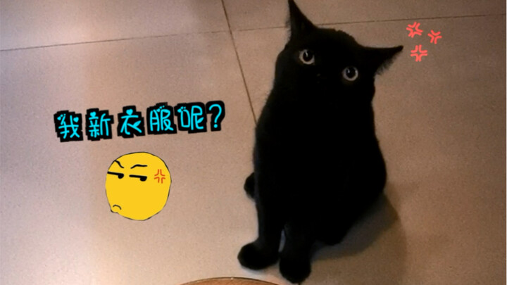 别笑我！别学我！55555