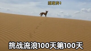 挑战流浪100天第100天 沙漠的尽头是……
