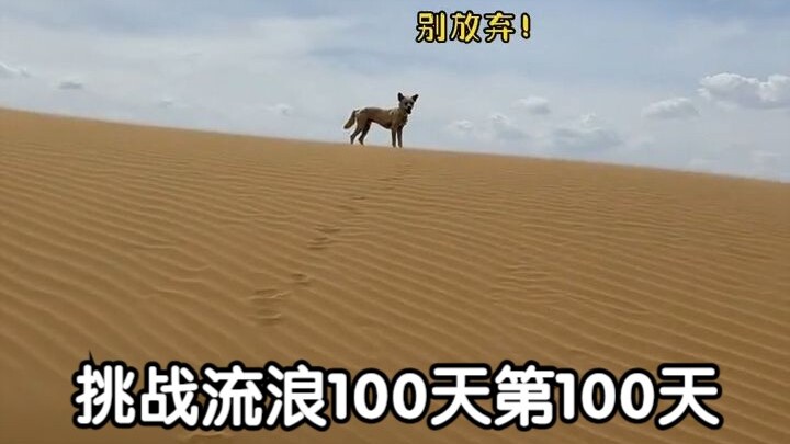 挑战流浪100天第100天 沙漠的尽头是……