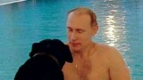 Putin was born to be a master of love|<Putin Biography>