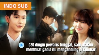 Dikenal tak dekat wanita, sang CEO justru bikin gadis itu hamil kembar...