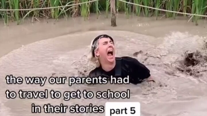 Bố mẹ đã miêu tả ngày bé đi học của mình như thế nào?