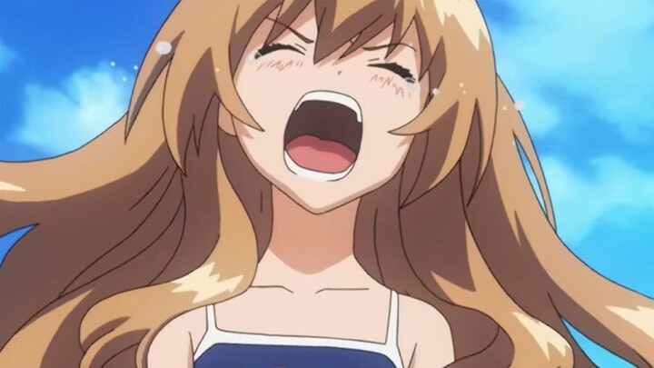 Masih Ingat "Palmtop Tiger"? ("Toradora!")