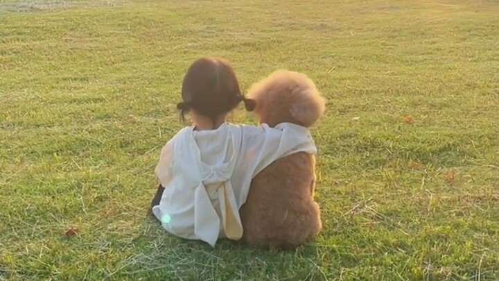 Thế giới nát tan, chú cún cứ khâu vá từng mảnh.