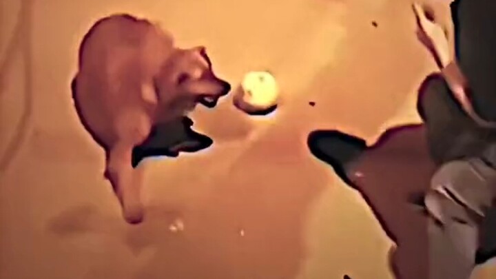 يا له من تمريرة رائعة بإنزال الكتف