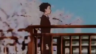 accept me