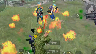bakar aja bakar