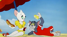 031-Salt Water Tabby [1947]
