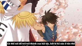 Tất Tần Tật Sự Thật Về Akainu - Kẻ Có Sức Mạnh Ngang Bằng Tứ Hoàng_ 9