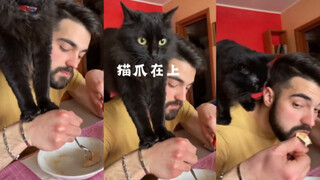 Cat Rule: Paws must be up!🐾