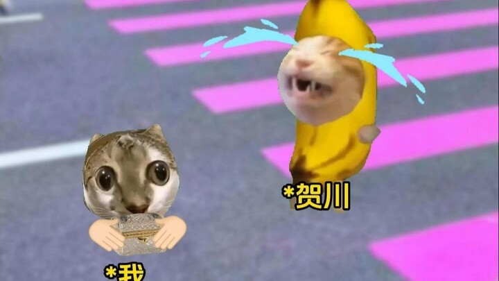 Cảm giác được bố là tỷ phú nhặt về nhà là như thế nào~5