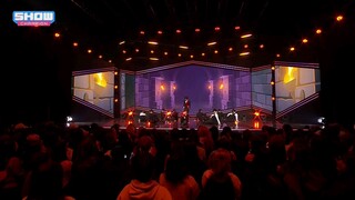 Show Champion 280224