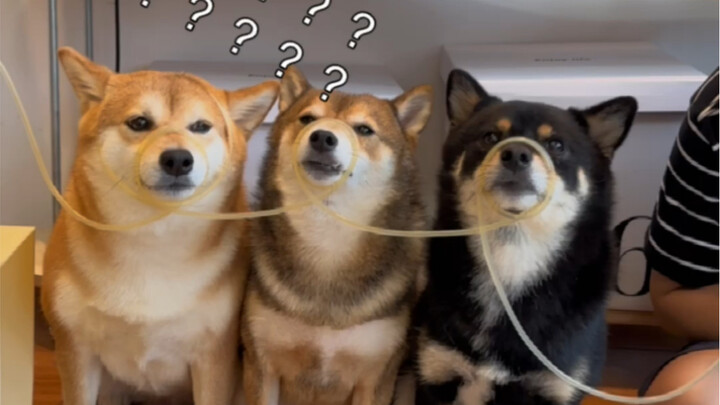 听说这样喝更滋补…