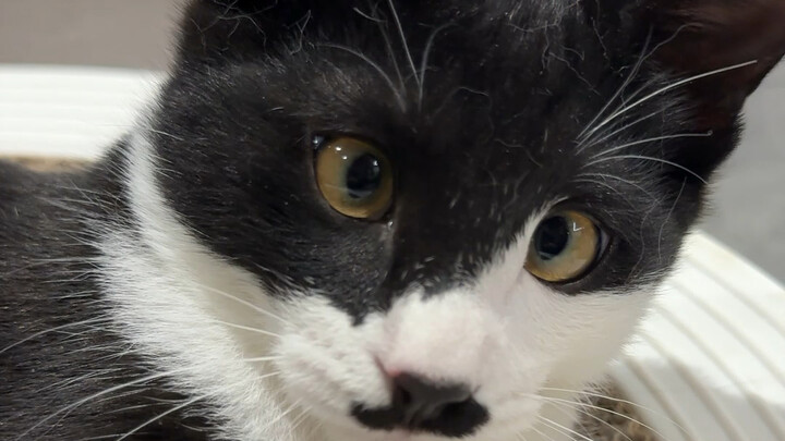 أنا العمة؟!