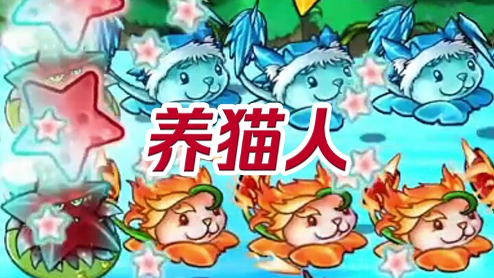 Mèo mi ế hàng, giúp chúng tôi với
