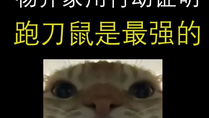 หยางฉีเจียผ่านเข้ารอบด้วยท่าไม้ตายบล็อกคู่ แสดงให้เห็นด้วยการลงมือจริงว่าสายเล่นดาบหนูนี่แหละคือที่ส
